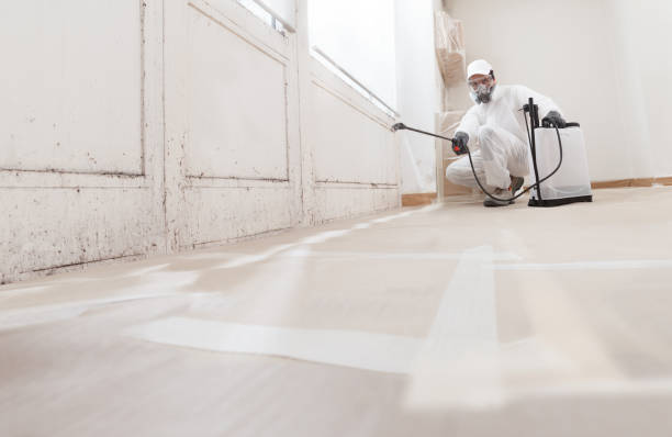 24/7 Emergency Mold Remediation experts in Fairfax Station, VA