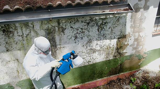 Top rated local Mold Remediation specialists in Fairfax Station, VA